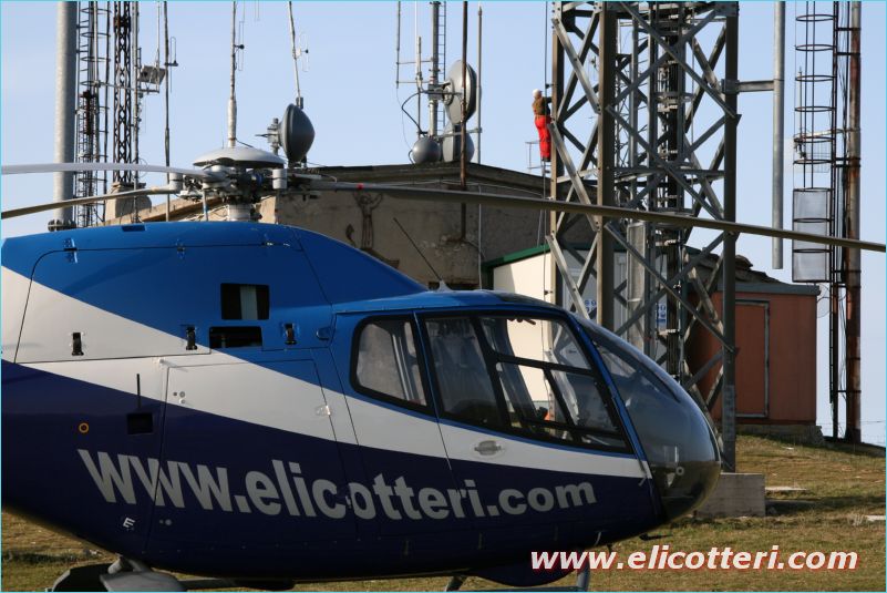elifoto (98)